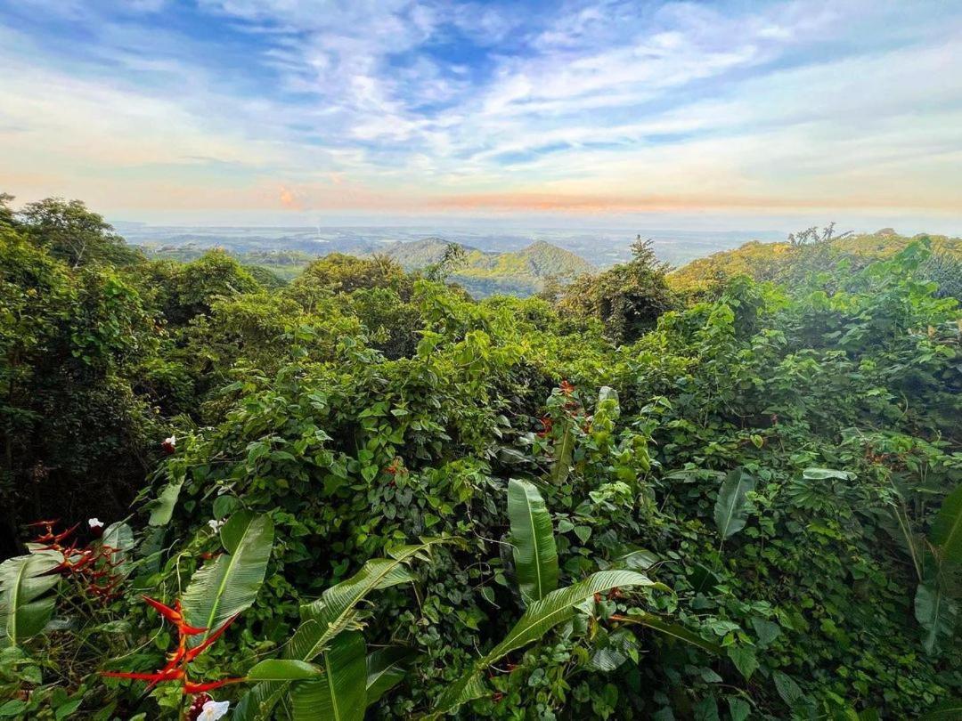 Lodge Mirador - Great Swimming Pool - Kitchen - Bbq - Netflix Tajo Alto ภายนอก รูปภาพ
