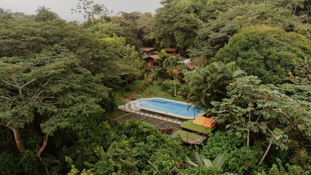 Lodge Mirador - Great Swimming Pool - Kitchen - Bbq - Netflix Tajo Alto ภายนอก รูปภาพ