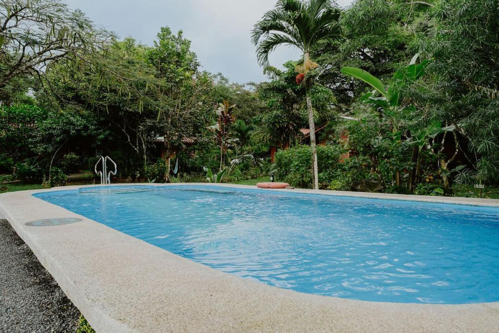 Lodge Mirador - Great Swimming Pool - Kitchen - Bbq - Netflix Tajo Alto ภายนอก รูปภาพ