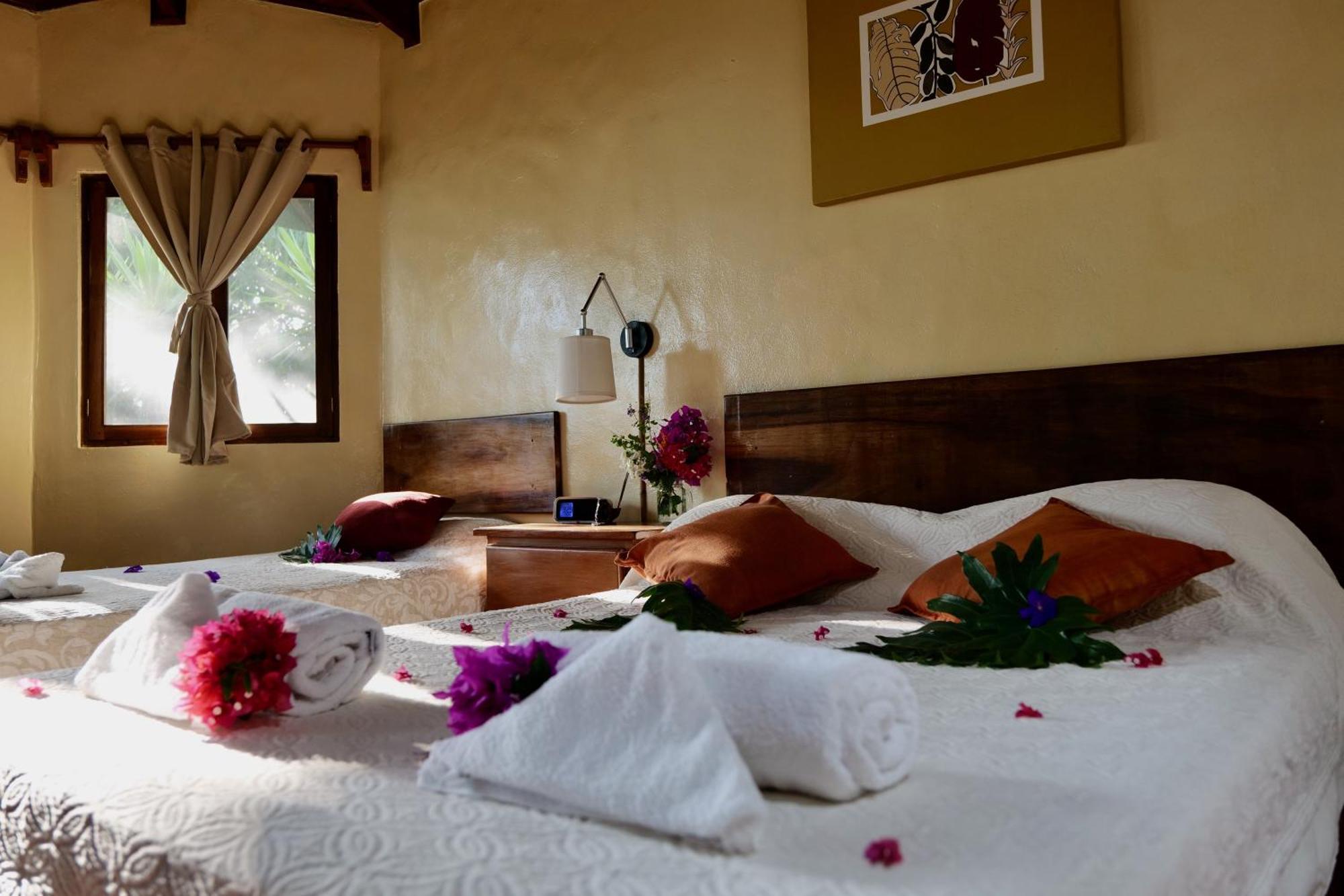 Lodge Mirador - Great Swimming Pool - Kitchen - Bbq - Netflix Tajo Alto ภายนอก รูปภาพ